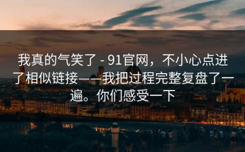 我真的气笑了 - 91官网，不小心点进了相似链接——我把过程完整复盘了一遍。你们感受一下
